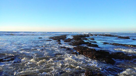 Friends of Fitzgerald Marine Preserve